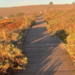 Boardwalk Fiscalini Ranch